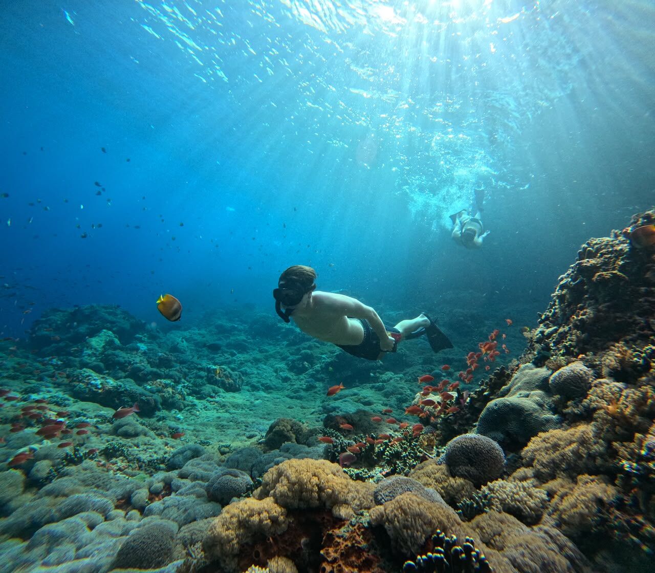 Snorkelers swimming over coral reef in sunlit water at Nusa Lembongan